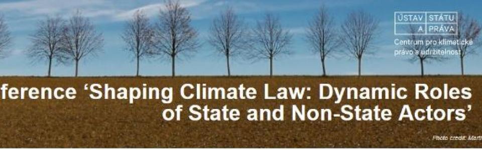 Shaping Climate Law: Dynamic Roles of State and Non-State Actors